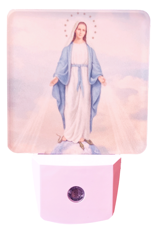 Blessed Mother Night Light
