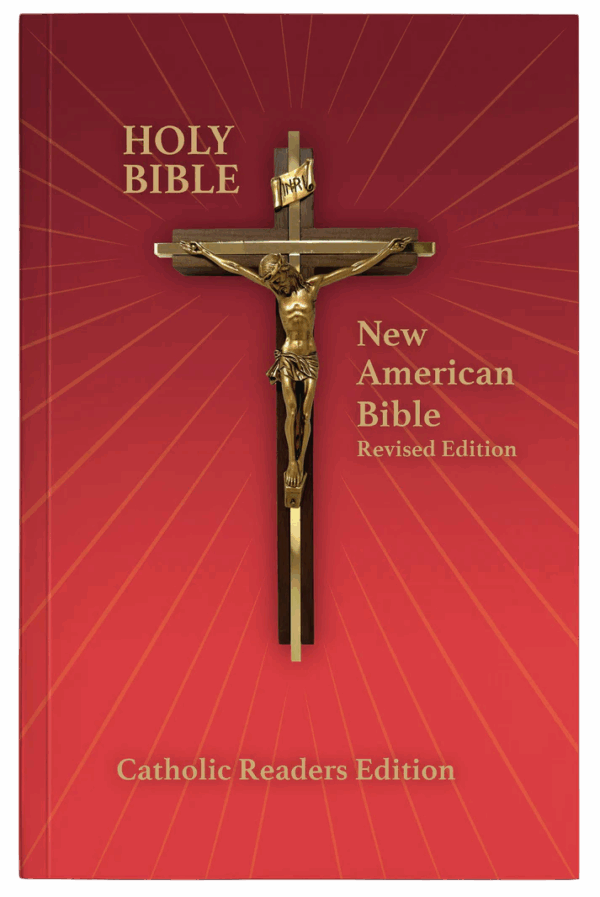New American Edition Bible
