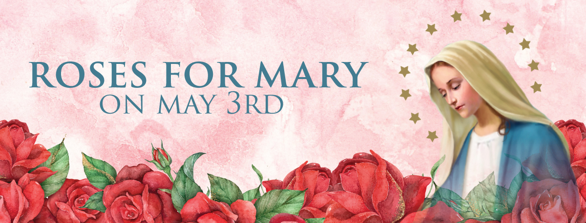 Roses for Mary on May 3rd